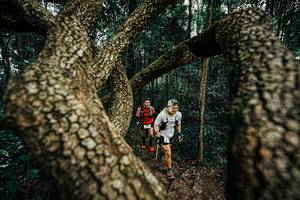 BIB: 
                            <button type="button" onclick="openModal(25393448)" class="btn btn-primary btn-sm float-right btn-popup" data-toggle="modal" data-target=".modal-high-quality">
                        <i class="fas fa-shopping-cart"></i> Add to Cart
                    </button>
                                            <button type="button" onclick="isThisMe(25393448, true)" class="btn btn-success btn-sm float-right btn-popup btn-isme hidden" data-toggle="tooltip" data-placement="bottom" title="นี่คือรูปของคุณใช่ไหม คลิกที่นี่เพื่อเอาเข้าอัลบั้ม">
                        <i class="fas fa-plus"></i> Add to album
                    </button>
                    <button type="button" onclick="isThisMe(25393448, false)" class="btn btn-warning btn-sm float-right btn-popup btn-isnotme hidden">
                        <i class="fas fa-ban"></i> Remove from album
                    </button>